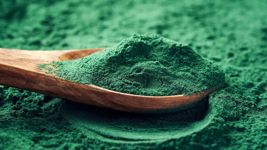 Espirulina